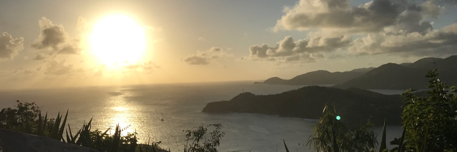 elinhuws's profile banner image