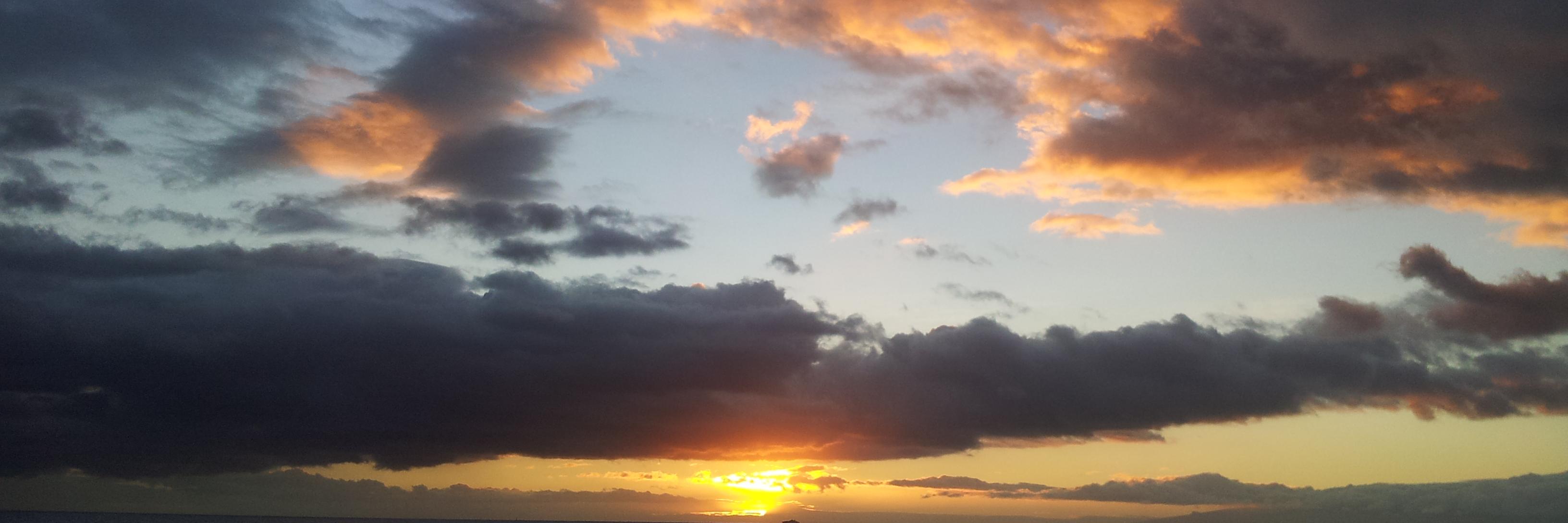 Rolf Wester 📯💚 🇩🇪🇺🇦 banner