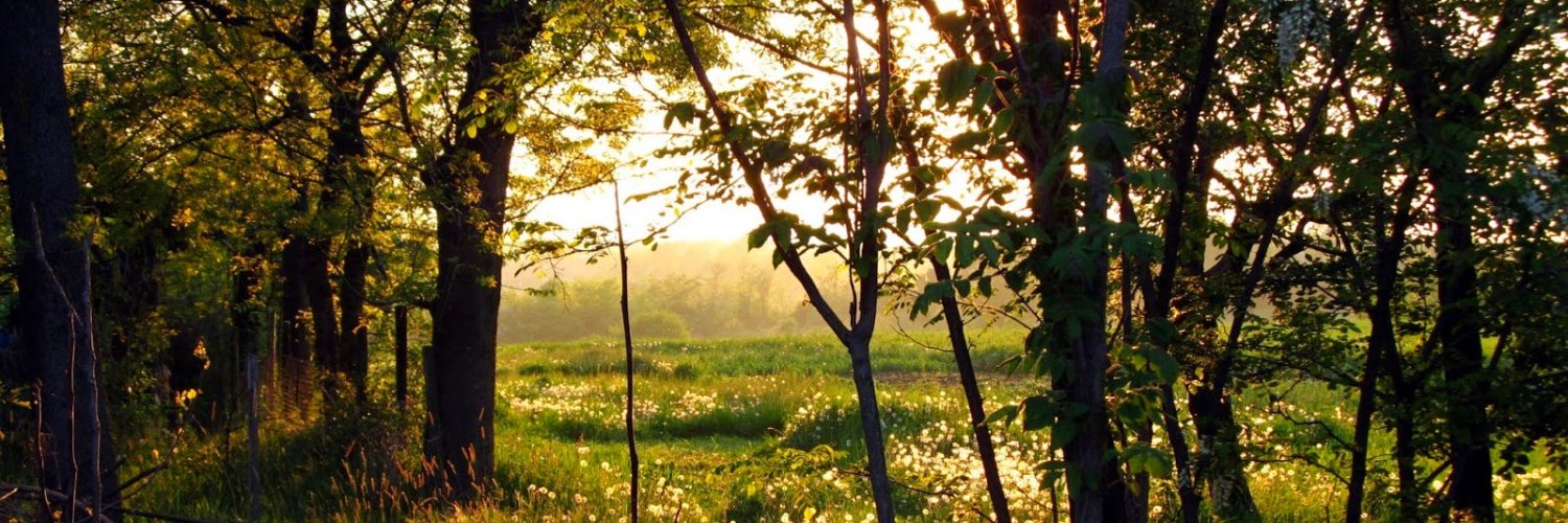 gajamld's profile banner image