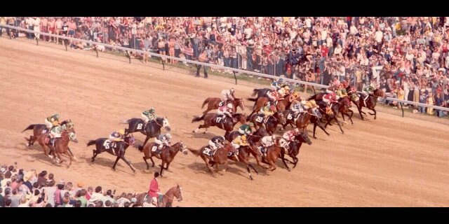 Cameron Loope banner