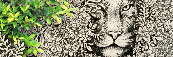 visothkakvei1 Profile Banner