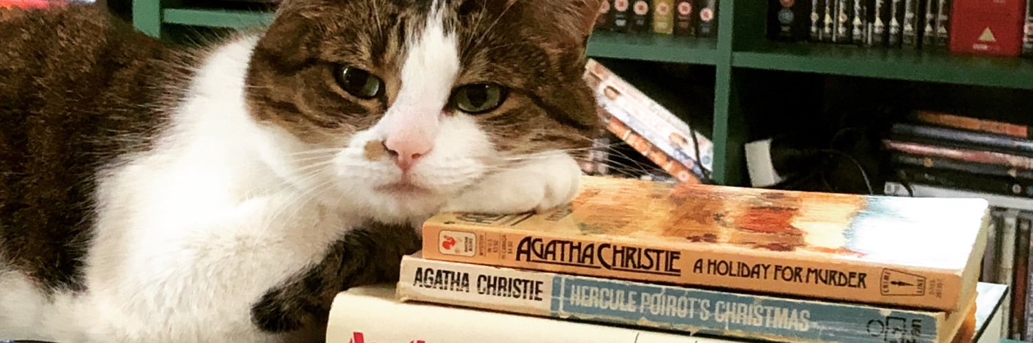 Mystery Steven banner