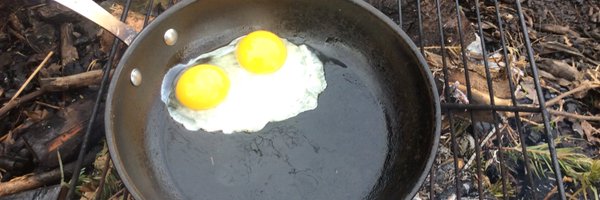 LimeTreeForest Profile Banner