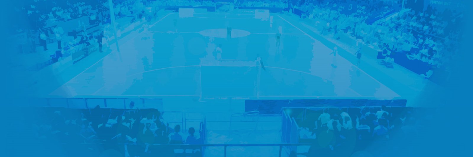 lnfstv banner