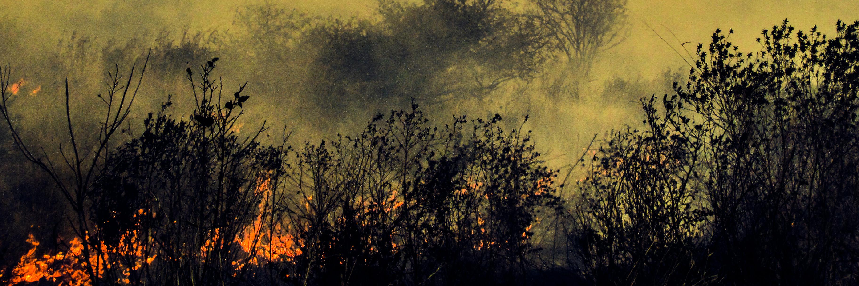 Heath Beckett banner