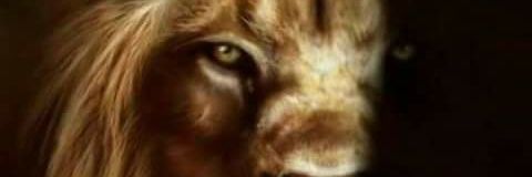 4everleo banner