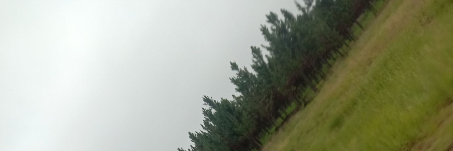 c792eaeb0d7f417's profile banner image