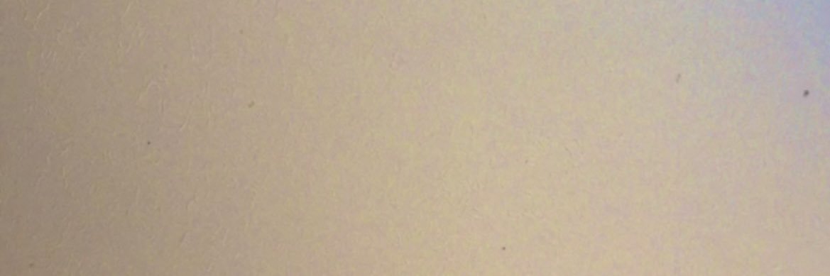 lmtdaf's profile banner image