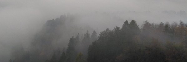 bencamproject Profile Banner