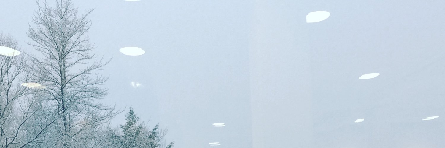 pchoi007's profile banner image