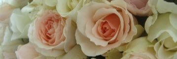 miso791's profile banner image