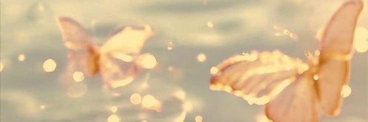 SeeItsNadia's profile banner image