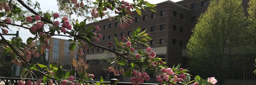 Michigan State Supply Chain banner