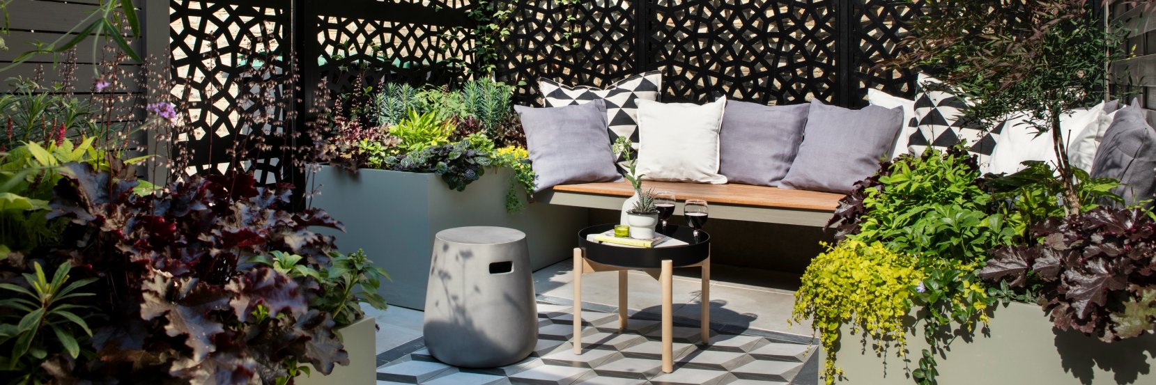 Georgia Lindsay banner