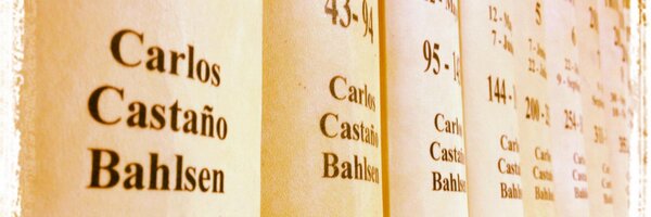 carloscastanob Profile Banner