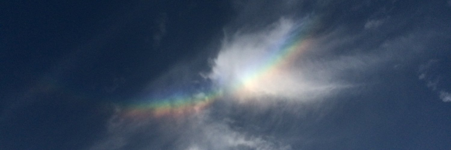 Amanda Coffman banner