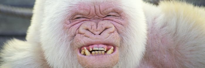 Carlos Márquez Daniel banner