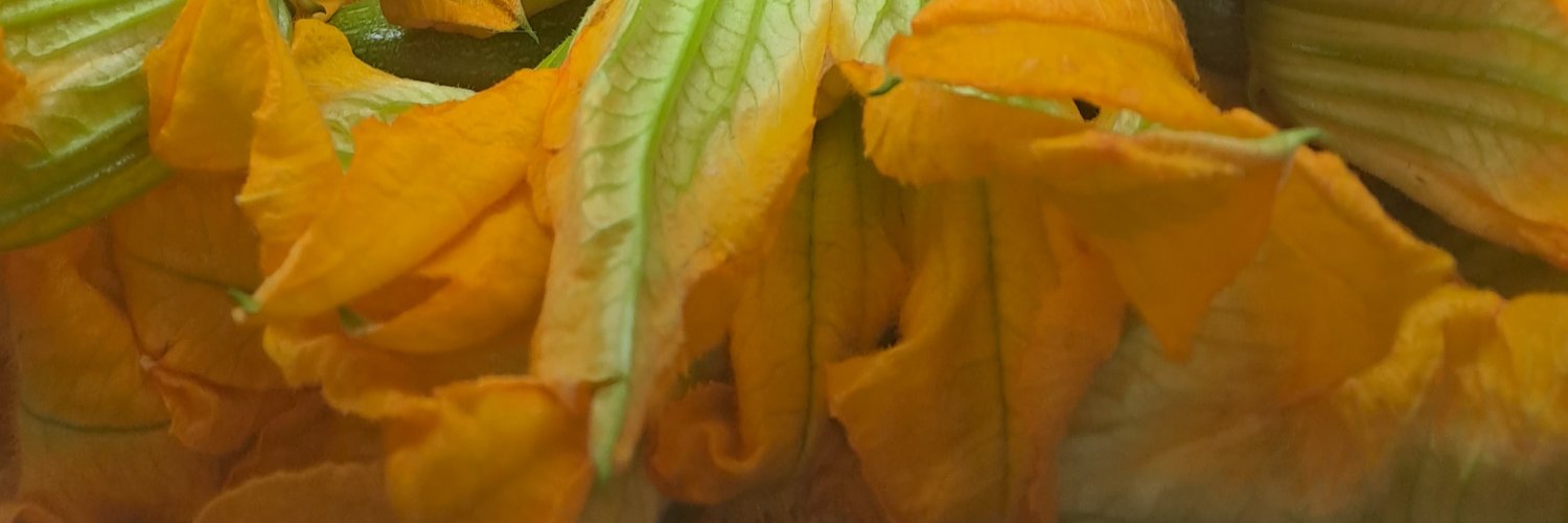 pirineosrest's profile banner image
