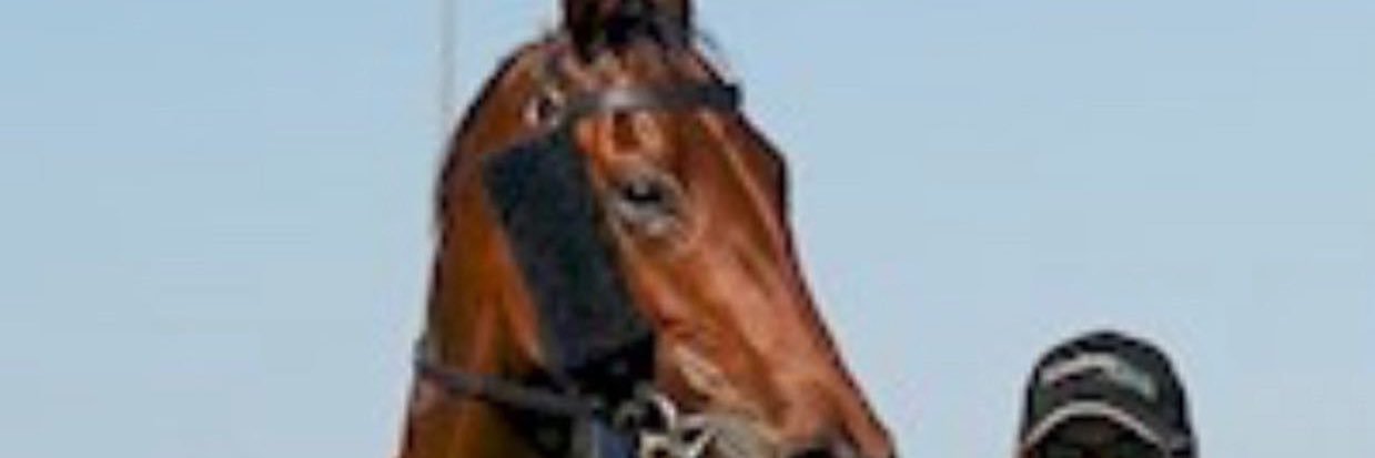 pbourkeys's profile banner image