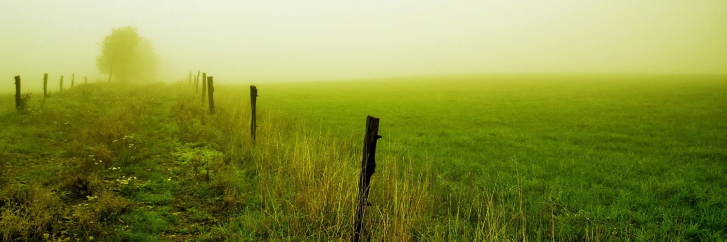 kadeene98's profile banner image