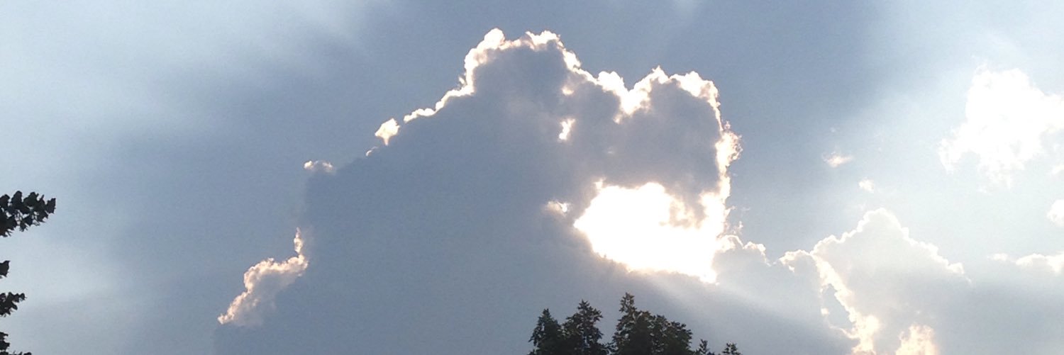 stececeantonacc's profile banner image