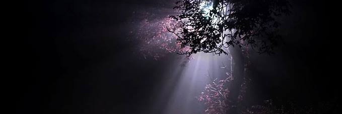 sem1h34's profile banner image