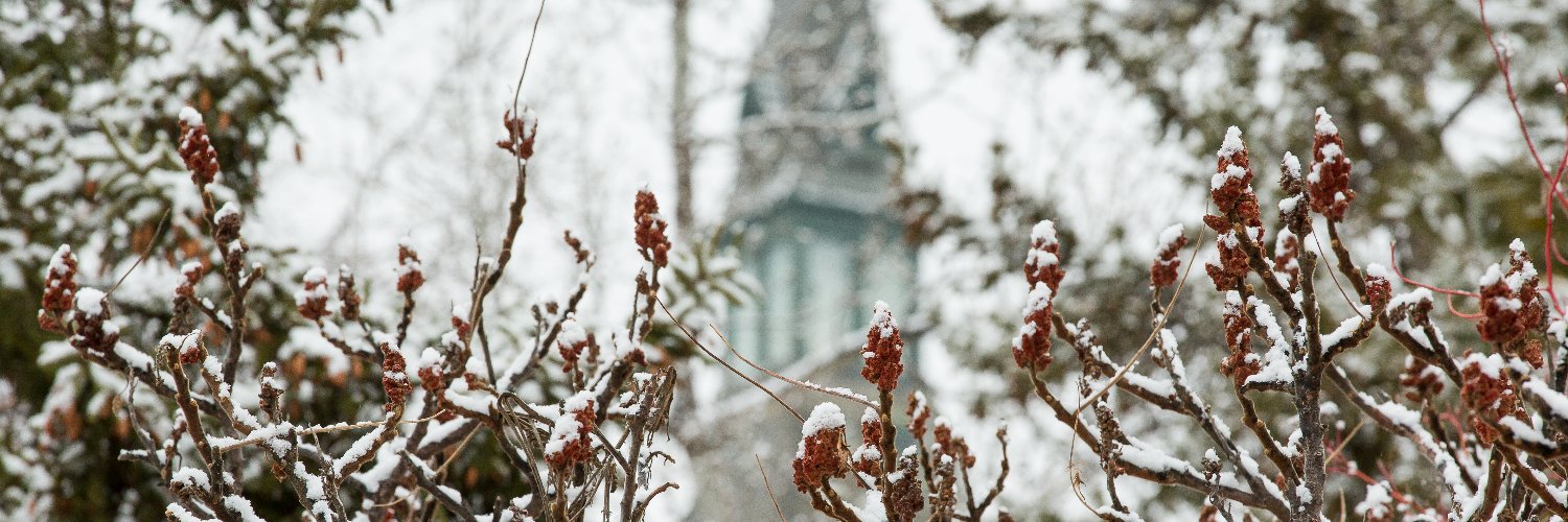 Hamline University banner