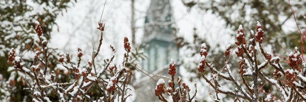 HamlineU Profile Banner