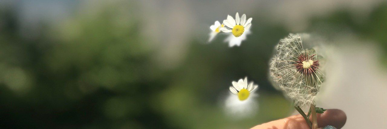 shrajabi's profile banner image