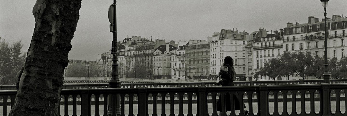 AlaDellaFata's profile banner image