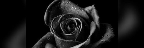 TerryMadB Profile Banner