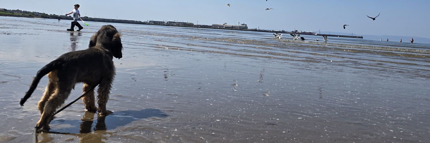 DYLANHUNTERRR's profile banner image