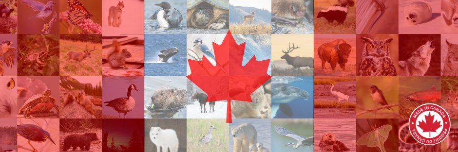 Canadian Wildlife Federation's banner