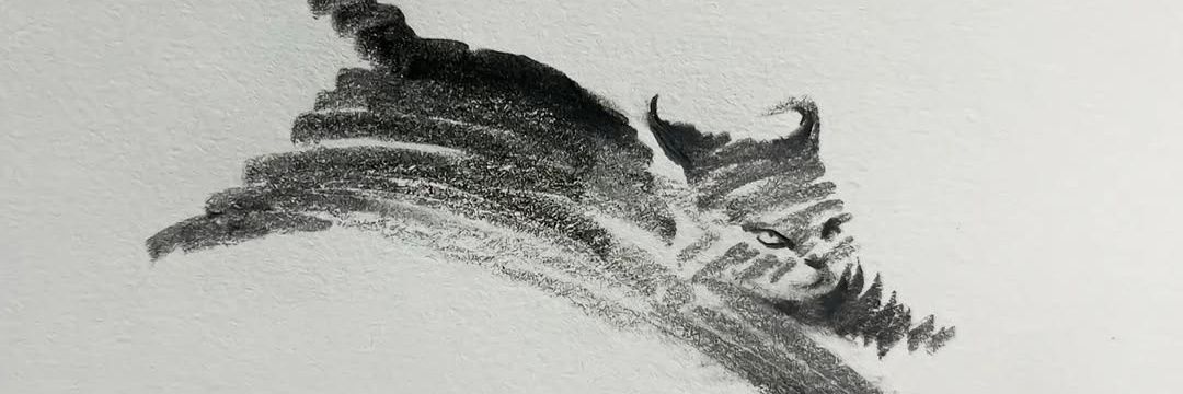 ascaris222's profile banner image