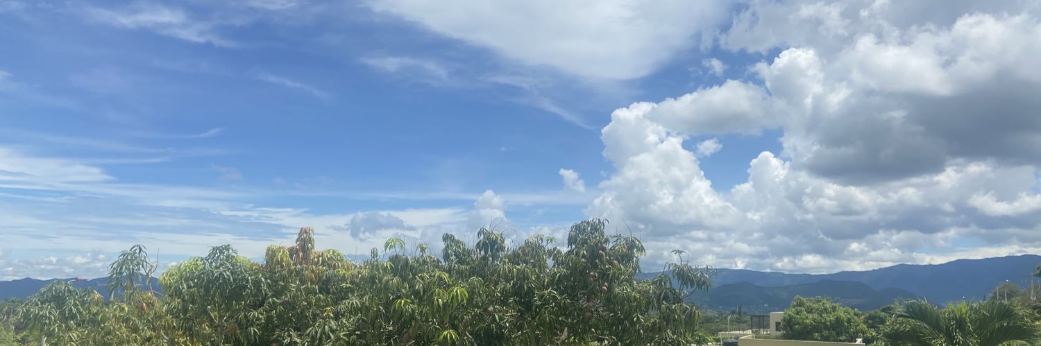 dardilaa's profile banner image
