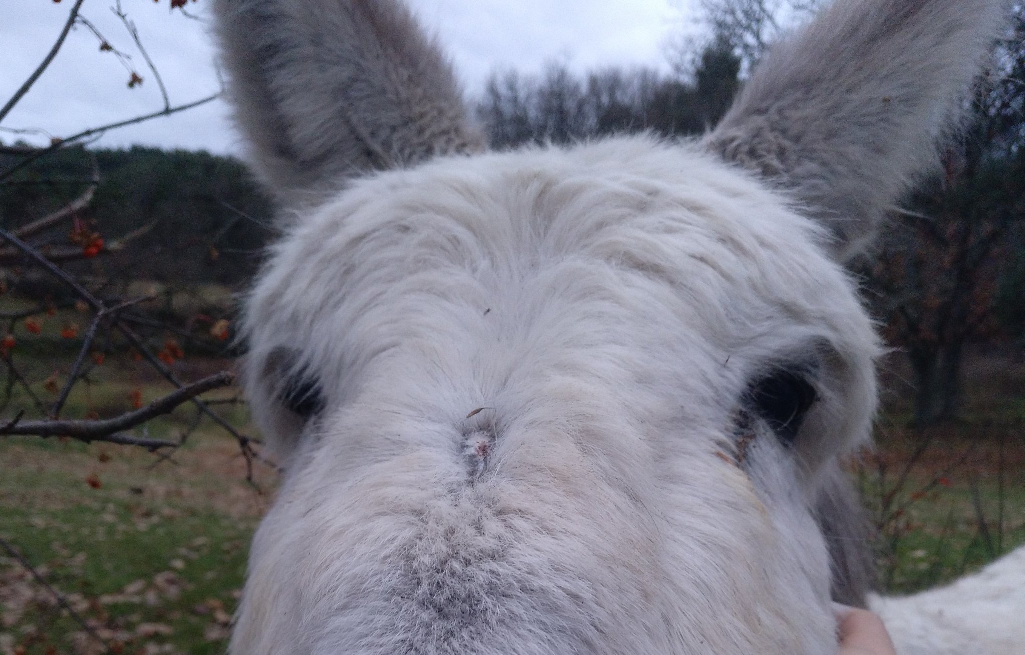VelloTexo's profile banner image