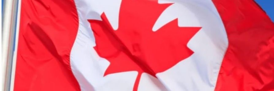 David DeNardis banner