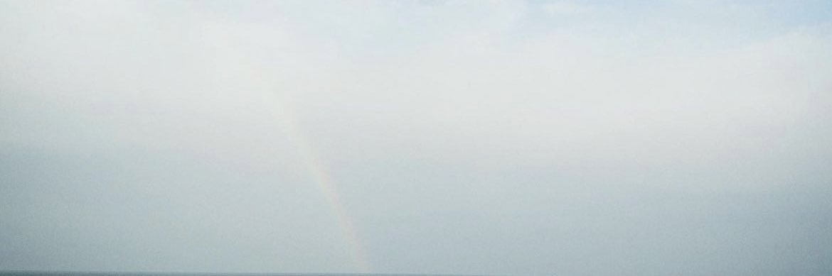 YellowAyako's profile banner image