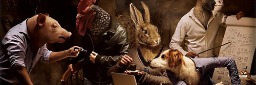 Rasacata's profile banner image