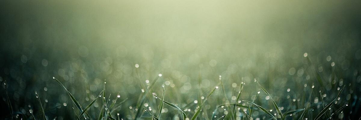 Хабибуллин Даниил banner