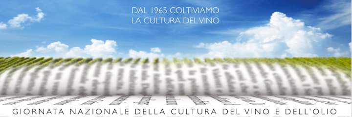 AIS Basilicata banner
