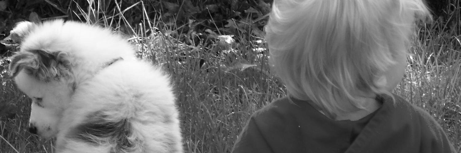 PetrifiedParent's profile banner image
