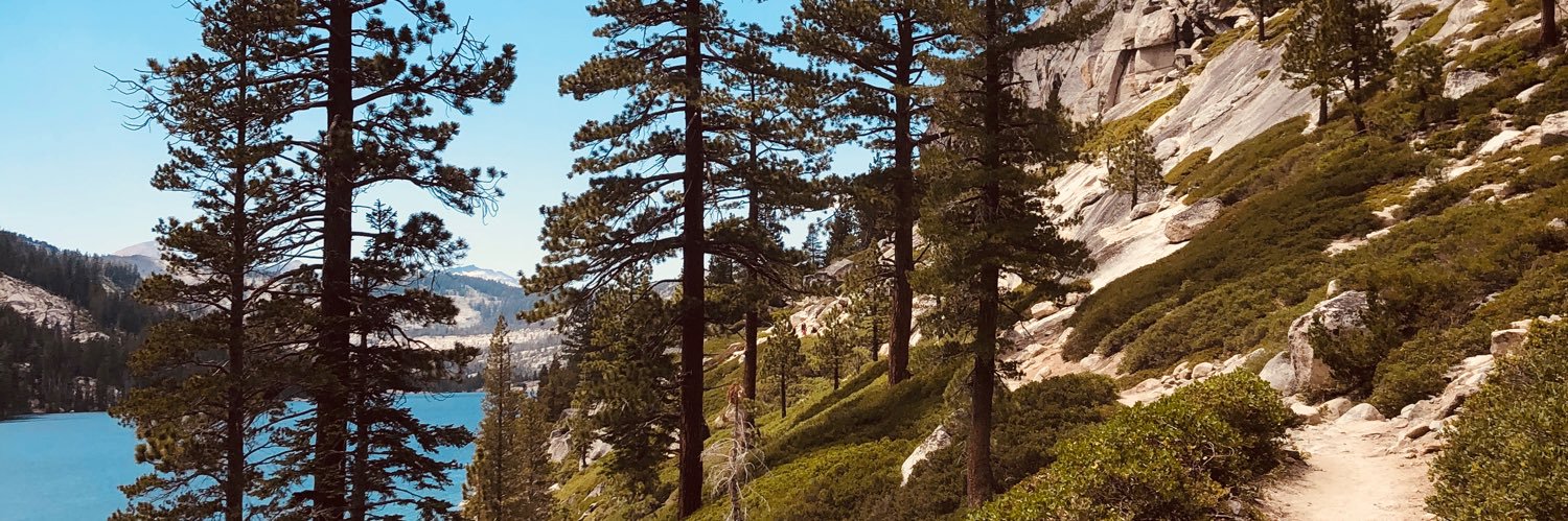 kollettee's profile banner image