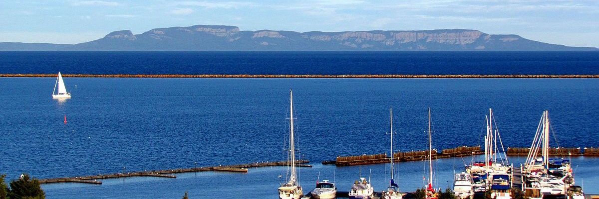 Matthew Simmons banner