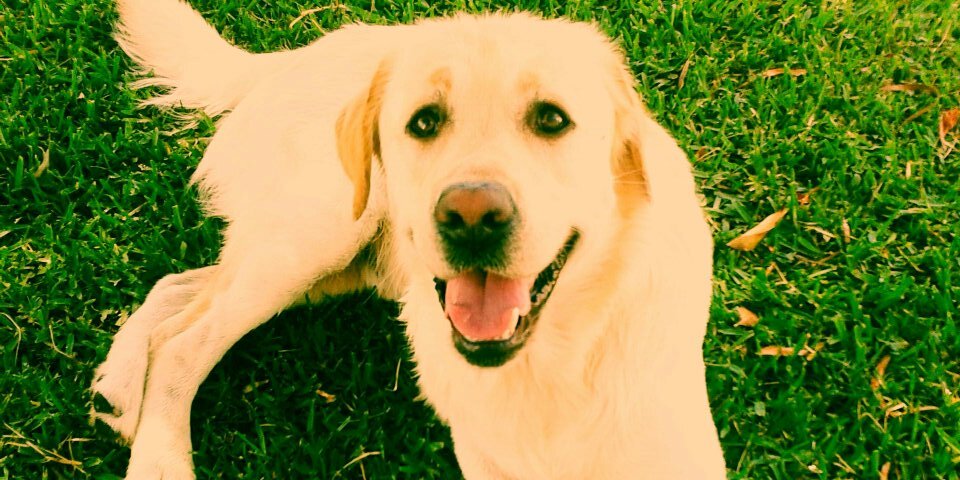 RamireVerdugo's profile banner image