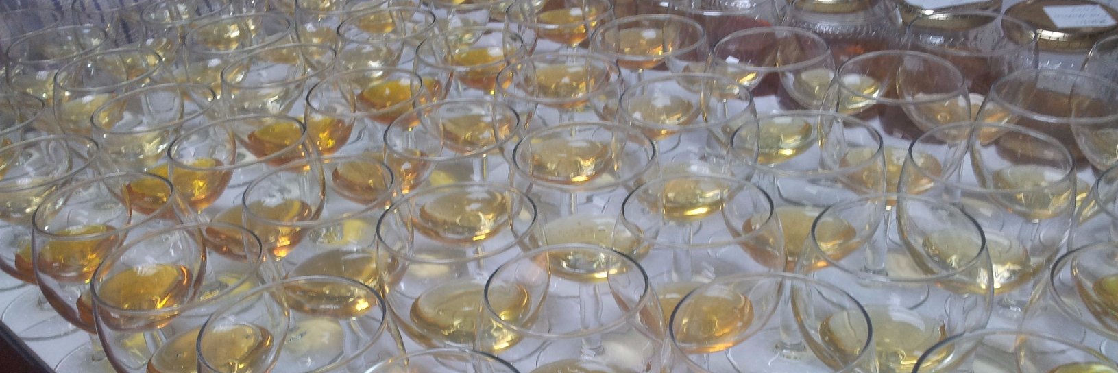 Raffaele Dall'Olio banner