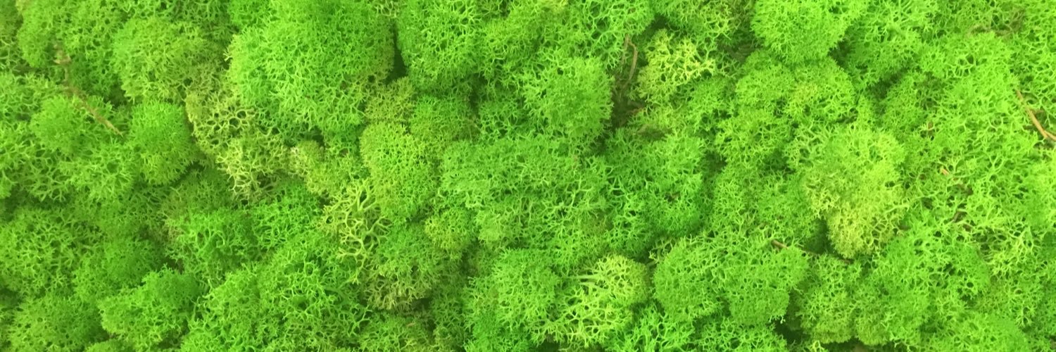 JeffShephard41's profile banner image