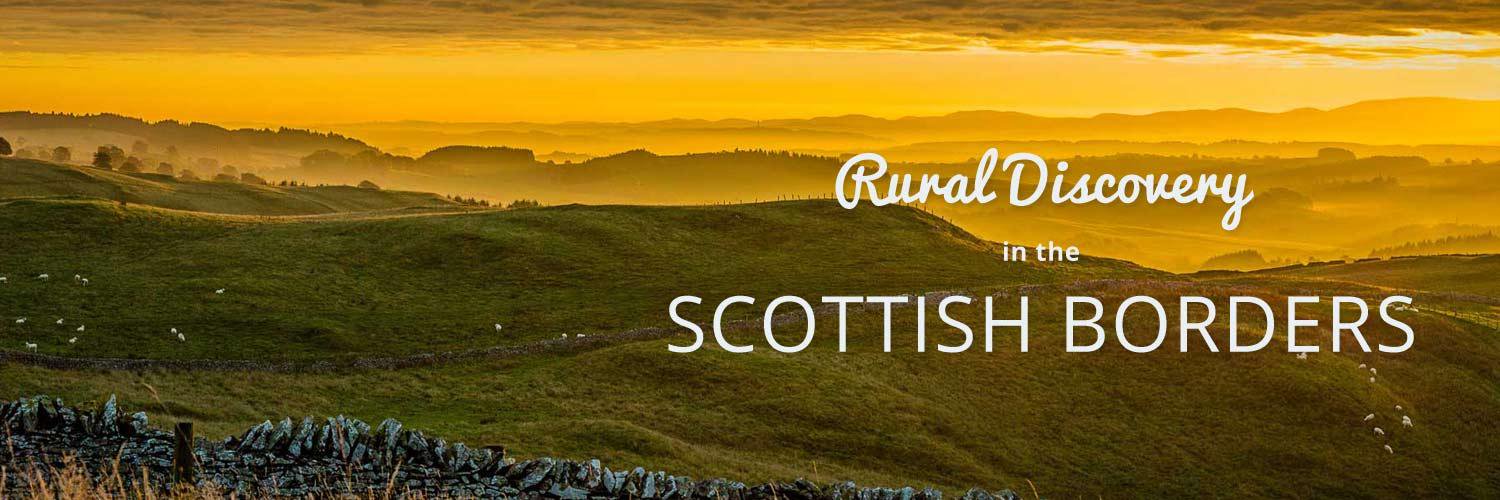 AleWaterValley's profile banner image