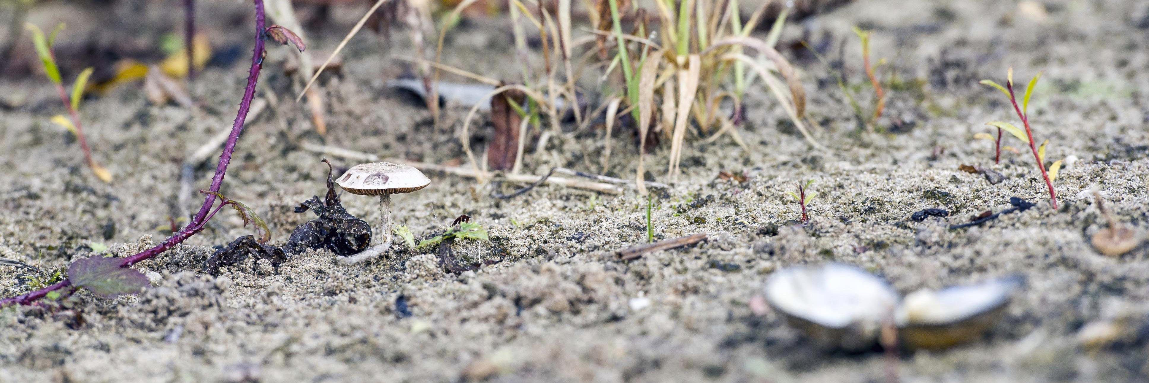 landbeeld's profile banner image