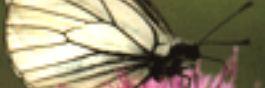 Кулаков Серёга banner